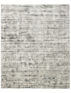 AM11893